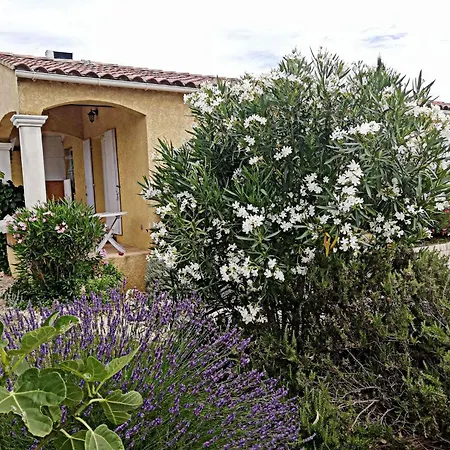 Entre Pont Du Gard Et Uzes Holiday home Castillon-du-Gard
